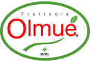 Frutícola Olmué