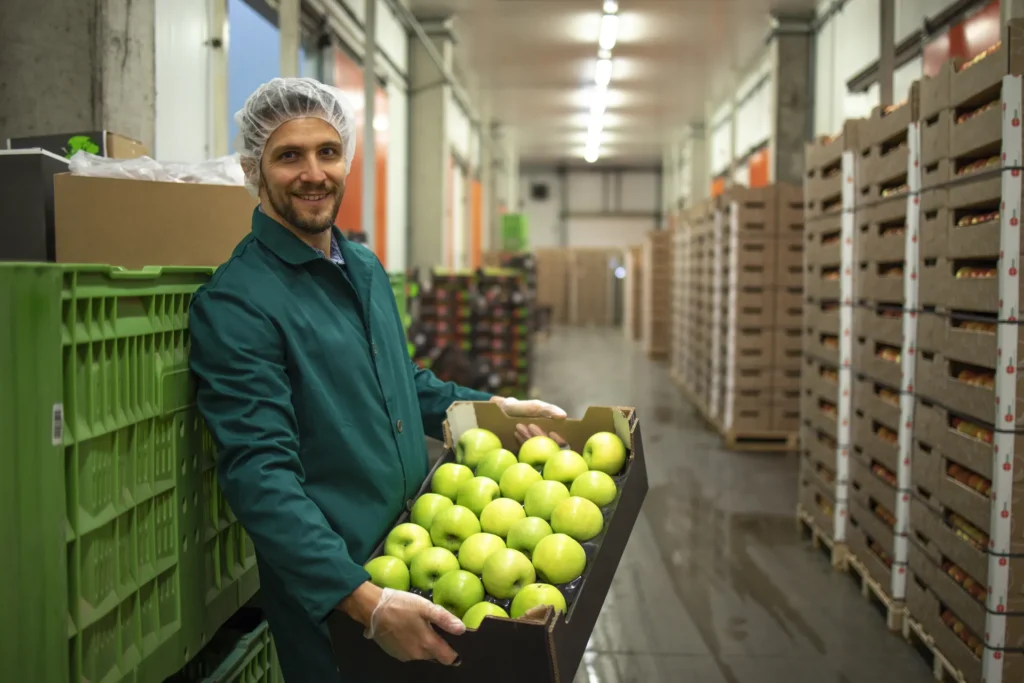 Trabajador en cámara de almacenamiento de fruta